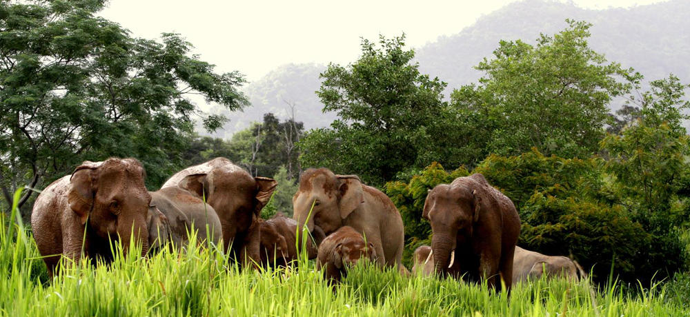 Phetchaburi’s Attractions by Phetchaburi Discovery.