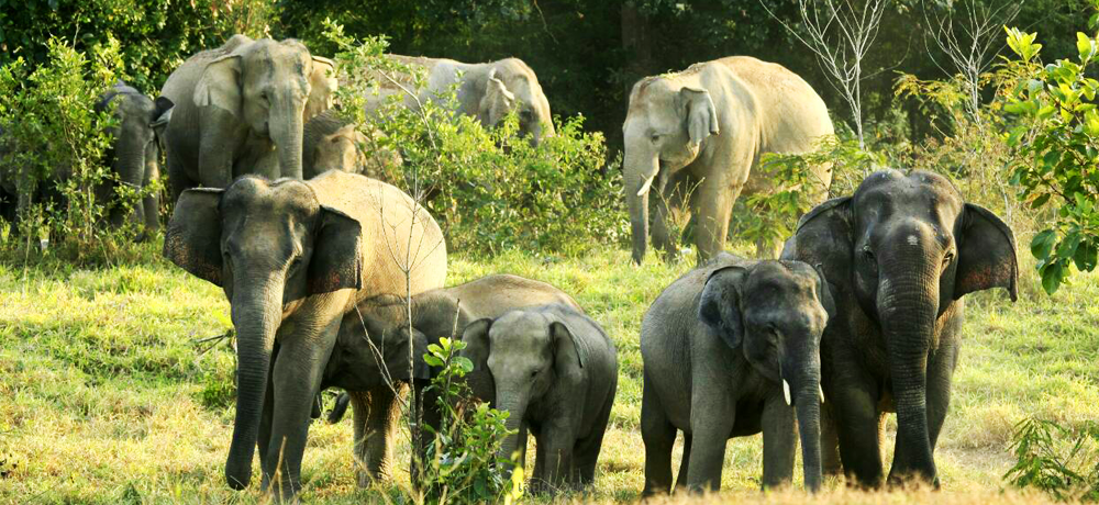 Phetchaburi’s Attractions by Phetchaburi Discovery.